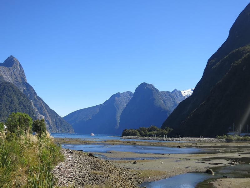 New Zealand Landscape